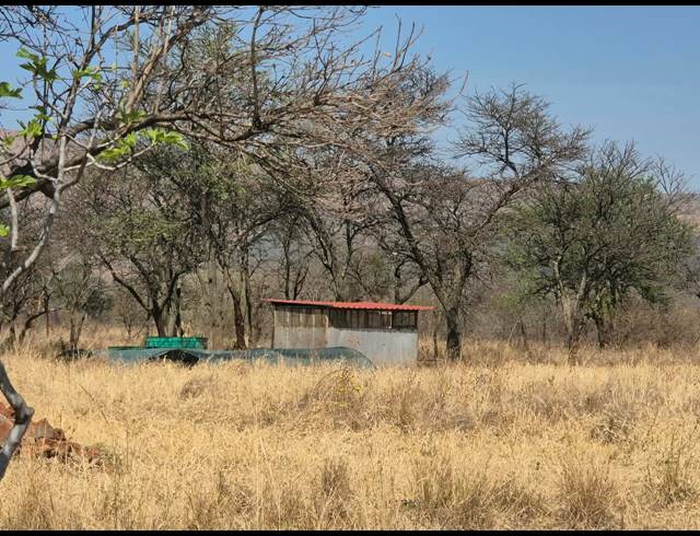 FARM FOR SALE IN DE WILDT